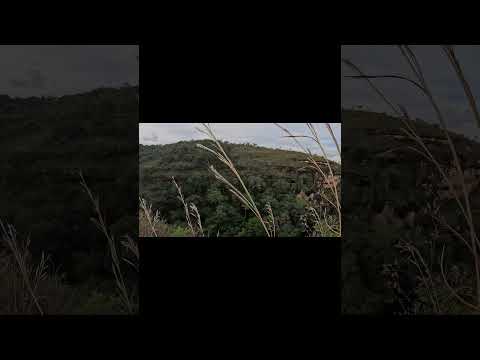 Peral das Andorinhas em Presidente Olegário MG