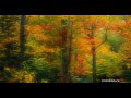 Golden Autumn [Raul Di Blasio - Nuestro Poema]