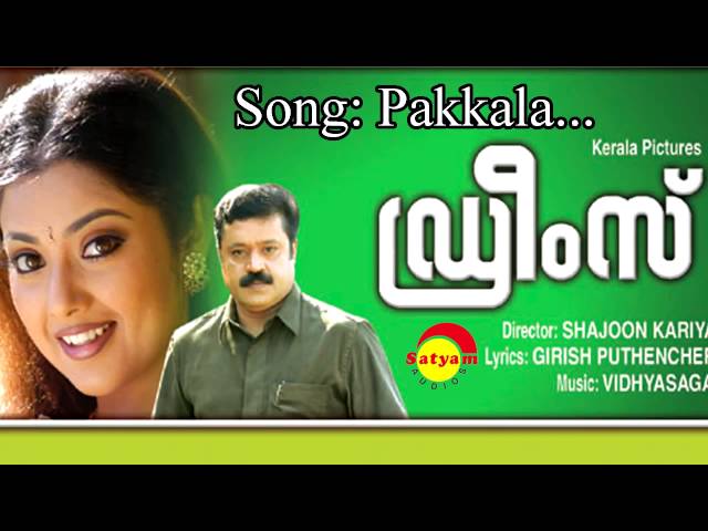 Pakkaala Nilabadi (Pakkala paddan vaa)