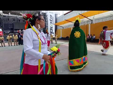Pallas San Benito De Jacas Grande Huamalies Llata Huánuco Perú 
