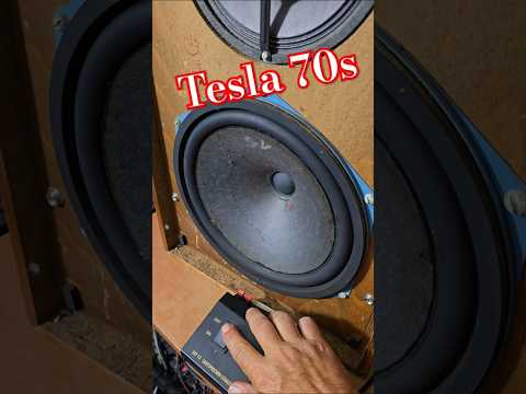 70s Vintage TESLA BASS SPEAKER Damaged BOOKSHELF SPEAKERS Sound Test
