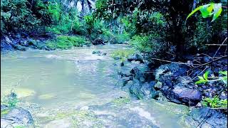 4 Amazing Water Sounds to Change Your Sleep Forever