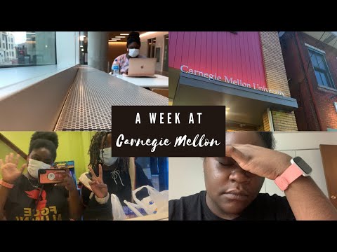 a week in the life of an online college student // carnegie mellon (business major)