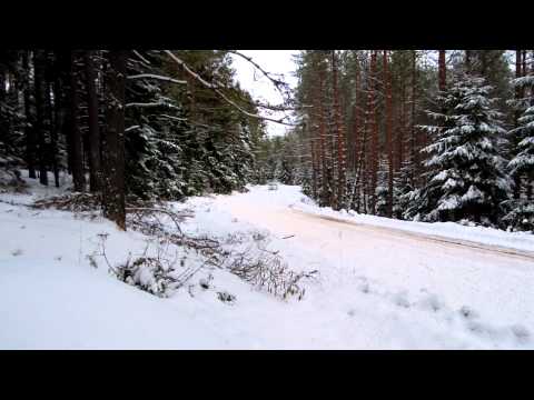 Co-drive Hołek wyłania sie z lasu