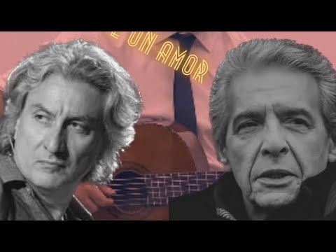 Historia De un Amor - Faramarz Aslani ft. Babak Amini ( Cover )