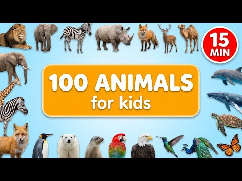 100 Animals for Kids | Learn Wild, Sea, Forest & Desert Animal Names Around the World