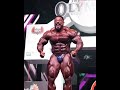 Roelly