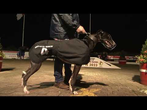 2022 Irish Laurels Final, sponsored by Friends and Supporters of Cork Greyhound Racing