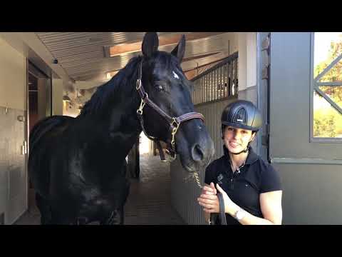 Lär känna Bon Coeur 1389