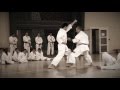 Luis Arraiz Unsu Bunkai