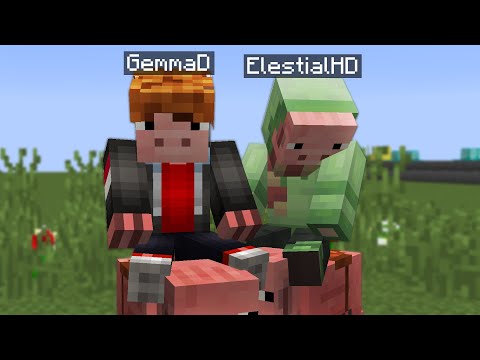 ElestialHD - We're Forced to Change to This Minecraft Skin Because of Viewers...