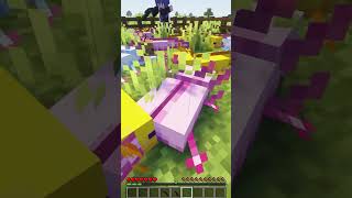 ENCONTRE O AXOLOTE NO MINECRAFT 🔥🔥🔥