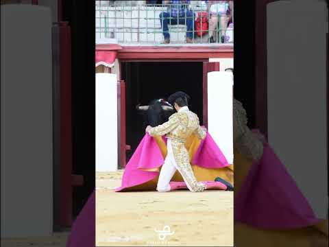 !!AWESOME!! bullfighter and bull