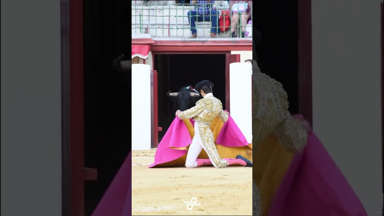 !!AWESOME!! bullfighter and bull