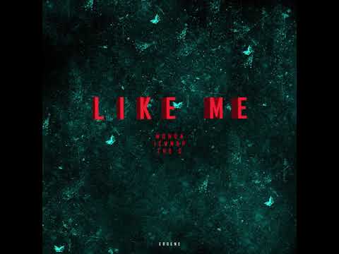 Monda x ichnap x The C - Like Me (Official Audio)