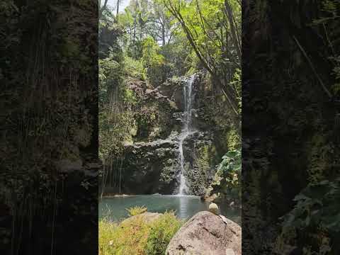 #relax #music #meditate #nature #waterfall #spa #space #live #plants #fun #outdoors #wealth #health