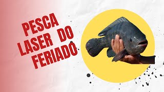 Pesca de Tilpia em Monte Alegre do Sul #Shorts