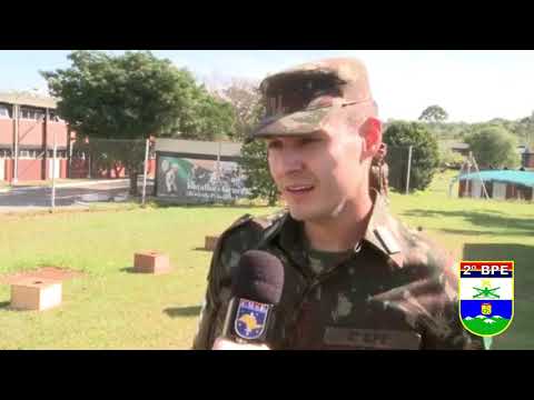 CÃES DE GUERRA 2º BPE OSASCO SP BR