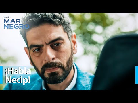 Vedat demanda que Necip hable - Mar Negro Capítulo 65 | Fugitiva