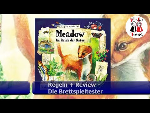Meadow Im Reich der Natur von Asmodee - Regeln + Review - Brettspiel - Die Brettspieltester