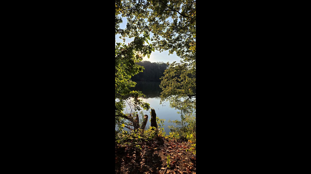 Resilience ... and hope