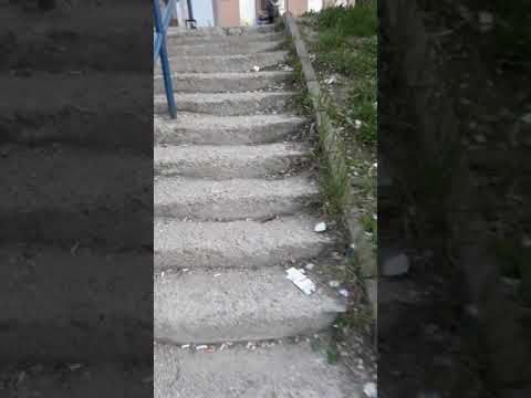 BOBA VIDEO BLOG (ĆASKALICA) - Stepenice zbog kojih ispustiš dušu, posle svratiš u radnju u komšiluku