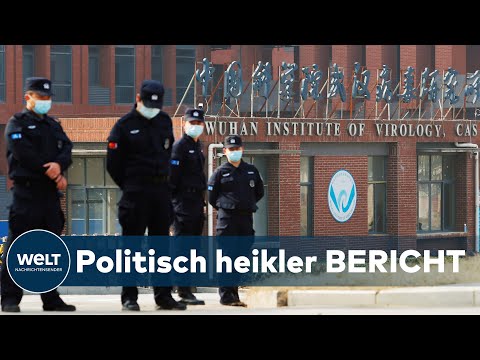 WHO-WUHAN-BERICHT: Corona-Ursprung - Wie China klaren Blick auf Fakten vernebelt | WELT Interview