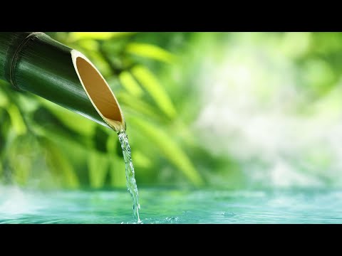 BAMBOO WATER FOUNTAIN | 12 Hours | Black Screen | #watersoundsforstudying