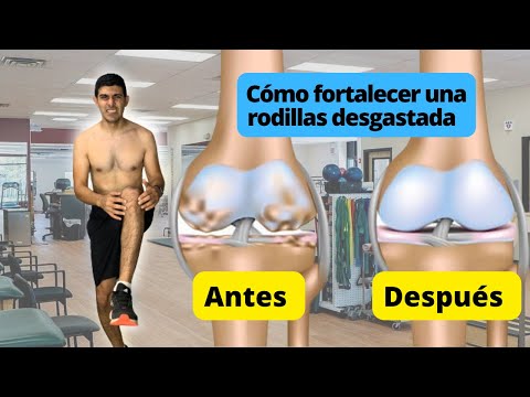 Rutina Para  Fortalecer Tus Rodillas Por Desgaste