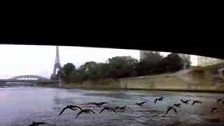 Winged Migration (2001) Video