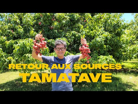 Une journée typique de bouffes à Tamatave, Madagascar - 4K