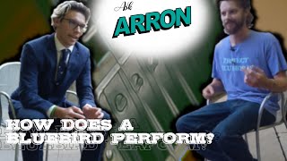 Ask Arron | How Does a Bluebird Perform?