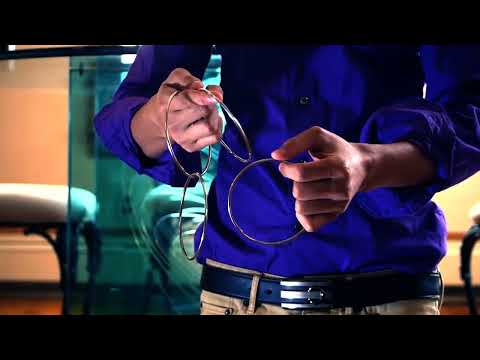 Voir la vidéo Melt - 4 Anneaux chinois - Genteishiryo