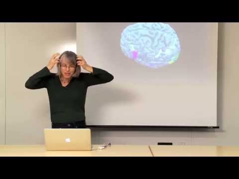 The Neuroanatomy Lesson
