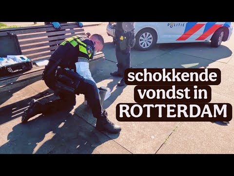 WE'D RATHER NOT SEE THIS COMING OUT OF THE WATER