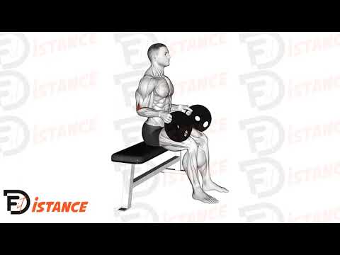 Exercice Flexion des poignets avec disque prise neutre