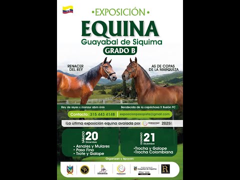 EXPOSICION EQUINA GRADO "B" GUAYABAL DE SIQUIMA 2025 - DIA 1 - PASO FINO COLOMBIANO/ TROTE Y GALOPE