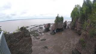 preview picture of video 'Hopewell Rocks'