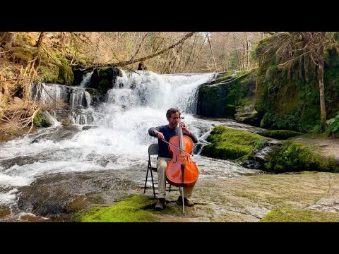Promotional video thumbnail 2 for Cellotopia Music