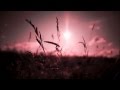 Last Leaf Down - Fake Lights In The Sky 