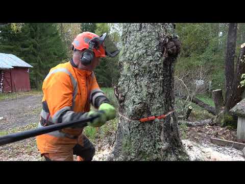 Metsolan Metsäkoulu 302 - Halvempi vaihtoehto pystyyn pätkimiselle