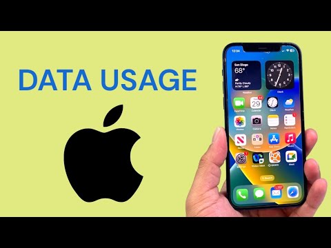 How To Check Data Usage in iPhone