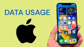 How To Check Data Usage in iPhone