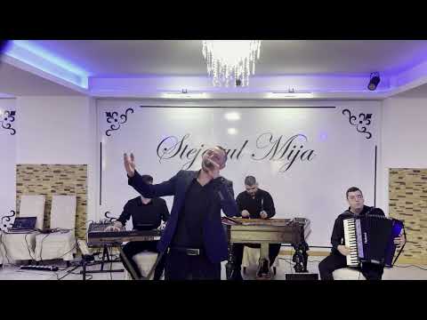 FORMATIA VOCAL BAND - AM MUNCIT SI ZI SI NOAPTE ,Muzica de petrecere,  Coco de la Targoviste