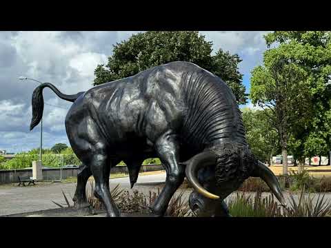 image : A la découverte de la ville de DAX