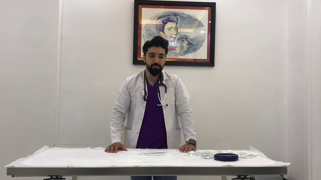 Kedi ve Köpeklerde Mikroçip Uygulaması