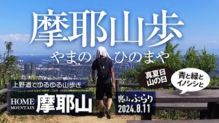 【山歩き】やまのひのまや 神戸・摩耶山 上野道。掬星台パノラマでブルーチャージ! 青と緑とイノシシと。