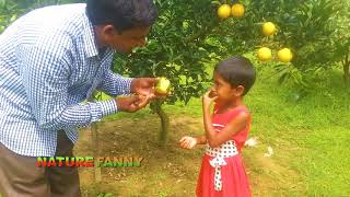 ভিডিও গ্যালারি