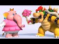 Super Mario Bros Wonder All Short Movies Animations