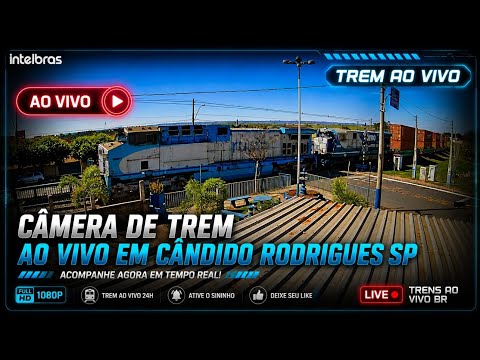 TREM AO VIVO CÂNDIDO RODRIGUES SP BRASIL